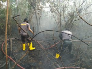 Ditengah Covid19, Satsabhara Polresta Barelang Berjibaku Padamkan Kebakaran