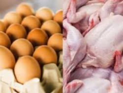 Ada 4 Bagian Tubuh Ayam Yang Paling Beracun, Nomor 4 Yang Sering di Konsumsi