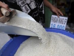 Perpadi soal Harga Beras Hanya Bisa Turun Rp200: Salah Besar Bulog