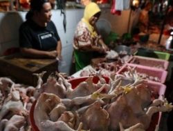 Zulhas di Pasar Palmerah: Harga Ayam Terlalu Murah, Gula Masih Mahal