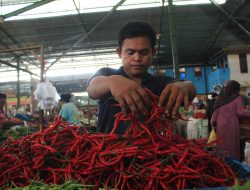 Cadangan Pangan RI Kritis, Stok Tipis Bahkan Nol