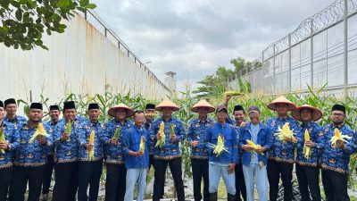 Dukung Program Ketahanan Pangan, Rutan Batam Sukses Panen Jagung Sebanyak 250kg