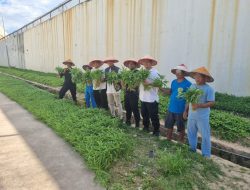 Dukung Program Ketahanan Pangan Nasional, Rutan Batam Berhasil Panen 140 kg Sayur