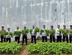 Rutan Batam Bersama Satbrimob Lakukan Panen Raya Sayur Hasil Kerja Warga Binaan dan Tanam Bibit Jagung