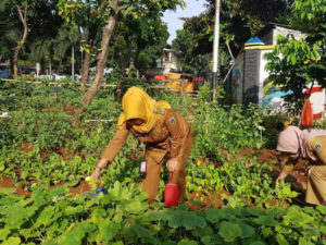 Kelurahan Cipinang Campedak Galakkan Program Penghijauan