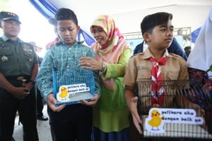 Program Pemeliharaan Anak Ayam Jadi Penilaian Keterampilan