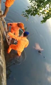 Mayat Setengah Bugil Mengapung di Sungai Dekat Perumahan Tiban Riau Bertuah