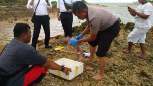 Dikira Boneka, Warga Temukan Mayat Bayi Laki-laki di Bengkong