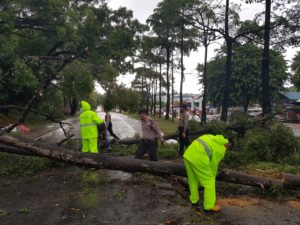 Ditengah Guyuran Hujan Personel Sabhara Polresta Barelang Evakuasi Pohon Tumbang