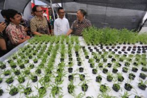 Usung Swasembada Sayur, Wali Kota Minta Bandung Hidromarket Hadir di Tiap Kelurahan