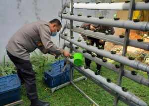 Polresta Barelang Giatkan Budidaya Sayuran Hidroponik di Tengah Pandemi