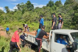 Ditpam BP Batam Tangkap Pelaku Illegal Logging di Hutan Duriangkang