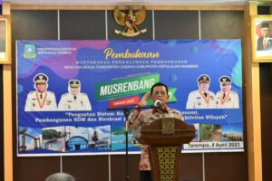 Gubernur Ansar Tak Ingin Ada Ketimpangan Pembangunan Antar Daerah