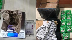 Paket Tujuan Lombok Terdeteksi Anjing K-9 Bea Cukai Batam Terdapat Ganja