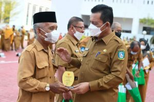 Gubernur Ansar Lepas 12 PNS yang Memasuki Batas Usia Pensiun