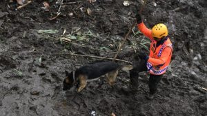 Banjir Bandang Landa Enam Desa di Tuban, 1 Warga Meninggal