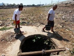 Bocah India Terjebak di Sumur, Empat Hari Hadapi Ular dan Kalajengking