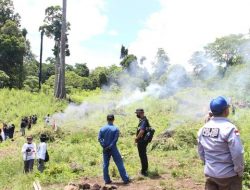 Bareskrim Temukan 25 Hektare Ladang Ganja Jaringan Aceh-Jakarta