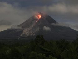 Gunung Merapi Tiga Kali Muntahkan Guguran Lava hingga 1,5 Kilometer