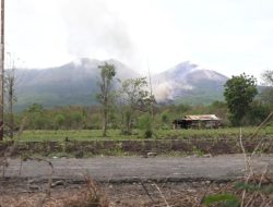 Aliran Lava Gunung Lewotobi Hampir Mendekati Jalan Desa