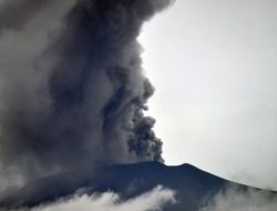 Gunung Lewotobi Erupsi Lagi, Tinggi Kolom Abu Hingga 700 Meter