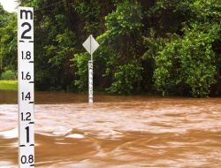 Banjir di Tana Toraja, Tim SAR Evakuasi Warga di Bantaran Sungai