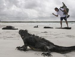 Lindungi Ekosistem, Kepulauan Galapagos Naikkan HTM Buat Turis