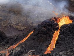 BNPB: 1.900 Warga Masih Mengungsi Imbas Gunung Ibu Halmahera Meletus