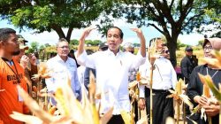 Jokowi Wanti-wanti Potensi Gelombang Panas dan Kekeringan Juli-Oktober