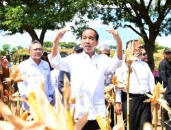 Jokowi Wanti-wanti Potensi Gelombang Panas dan Kekeringan Juli-Oktober