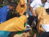 PP Muhammadiyah dan Kemenko PMK Gelar Aksi Tanam Pohon serta Makan Sehat