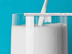 Sama-sama Dijual Kemasan, Cek Beda Susu UHT, Steril, dan Pasteurisasi