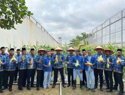 Dukung Program Ketahanan Pangan, Rutan Batam Sukses Panen Jagung Sebanyak 250kg