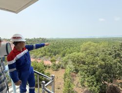 Aktivitas Alat Berat di Panaran Ancam Pipa Gas Strategis Sumatra-Batam-Singapura